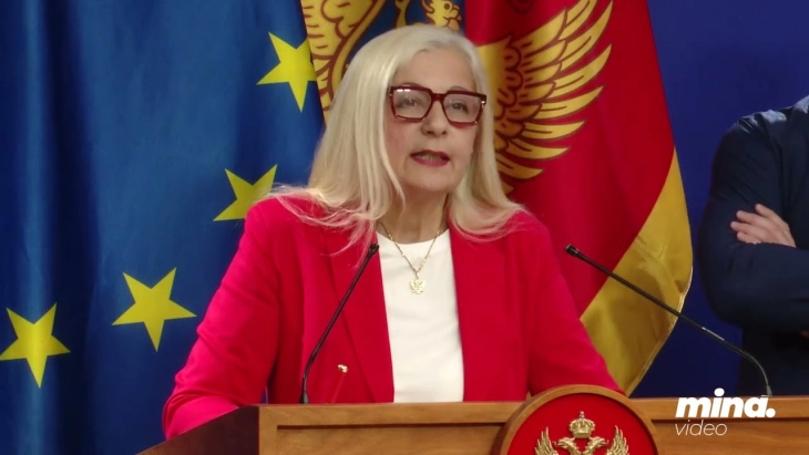 Despotović: Usvajanje PUP-a na telefonskoj sjednici potvrdilo neozbiljnost Vlade