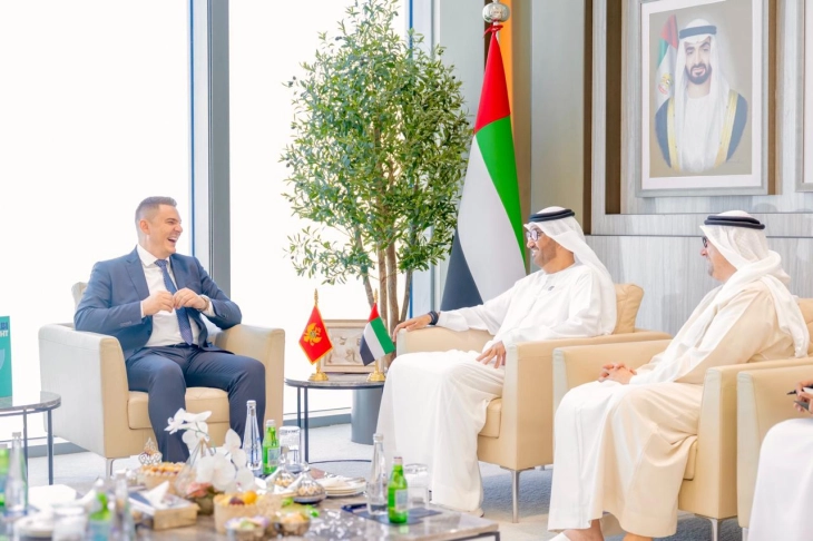 Montenegro and UAE launch strategic energy dialogue 