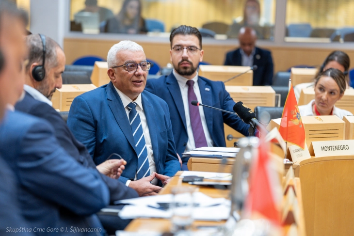 Mandic: Government leading strong fight against organized crime and corruption