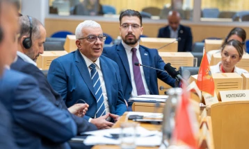 Mandic: Government leading strong fight against organized crime and corruption