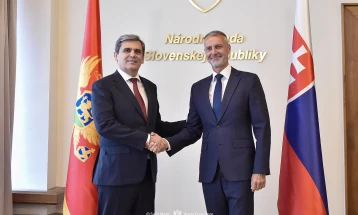 Podrška Slovačka što skorijem članstvu Crne Gore u EU