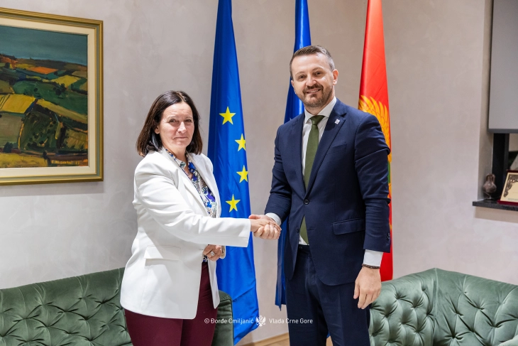 Crna Gora i Češka nastavljaju partnerstvo u reformi javne uprave