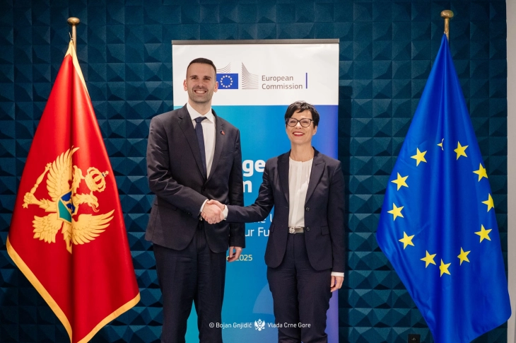 Spajic: Montenegro does not engage in calculations in EU integration, expects fair treatment