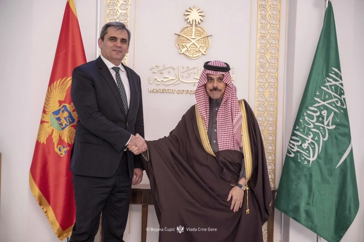 Support for closer cooperation between Montenegro and Saudi Arabia