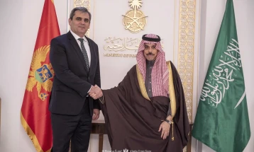 Support for closer cooperation between Montenegro and Saudi Arabia