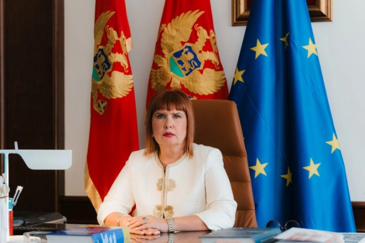 Misija Peer Rewiew potvrdila napredak u borbi protiv organizovanog kriminala i korupcije