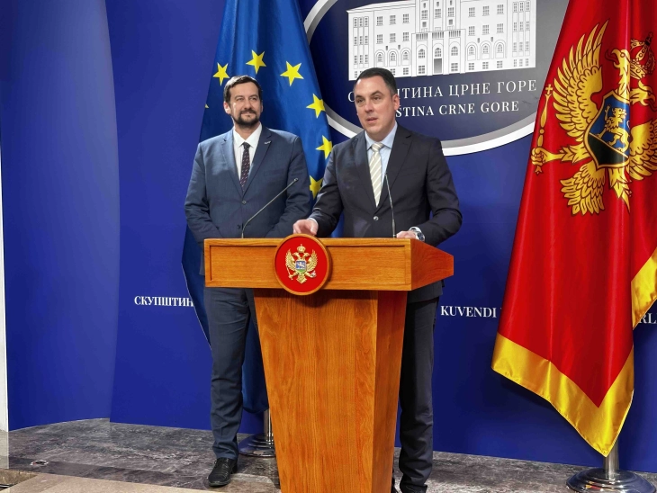 Vuković: Tekst Rezolucije o EU integraciji predstavićemo narednog petka