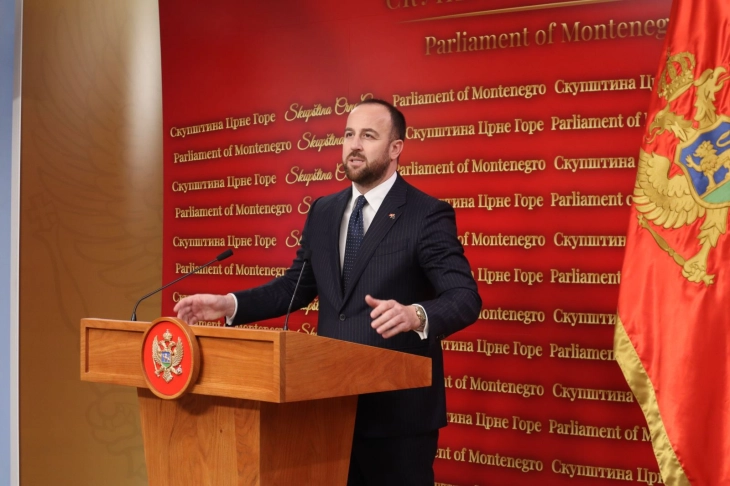 Nikolic: Little chance Montenegro will close all chapters by end of 2026 if current government remains in power