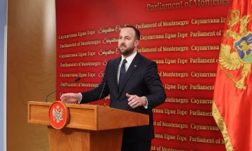 Nikolic: Little chance Montenegro will close all chapters by end of 2026 if current government remains in power