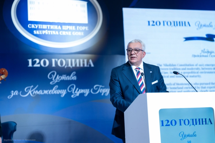Mandić: Ustav ne oslikava stvarno stanje u društvu