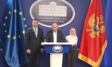 DNP predlaže dopune Zakona o državnim simbolima, trobojka da bude narodna zastava