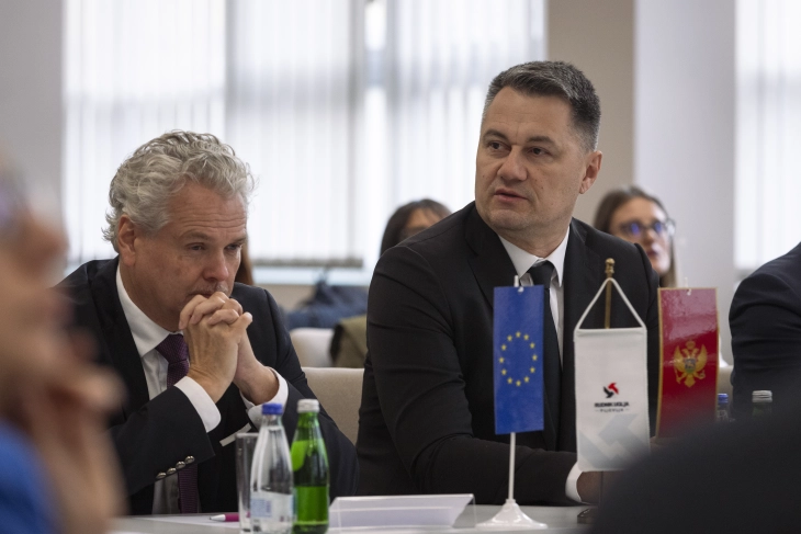Laković: Uspostaviti EU Fond za pravednu tranziciju za Pljevlja