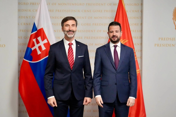 Blanar: Vidimo Crnu Goru kao predvodnicu u procesu pristupanja EU
