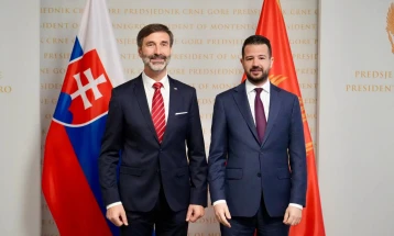 Blanar: Vidimo Crnu Goru kao predvodnicu u procesu pristupanja EU