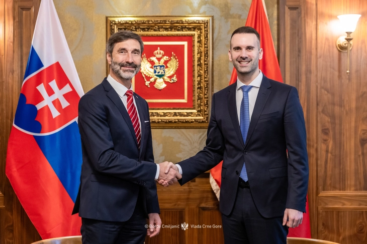 Blanar: Slovačka snažno podržava evropski put Crne Gore
