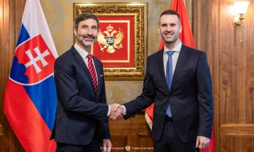 Blanar: Slovačka snažno podržava evropski put Crne Gore