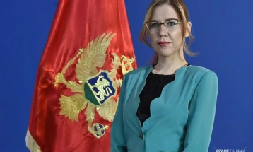 Vesni Bratić zadržavanje do 72 sata
