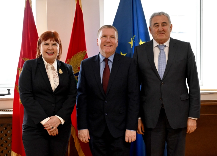 Mekgrat: EU prepoznaje napredak Crne Gore