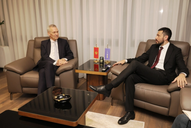 Živković: Aktuelna vlast ne može obezbijediti konsenzus država članica za pristupanje EU