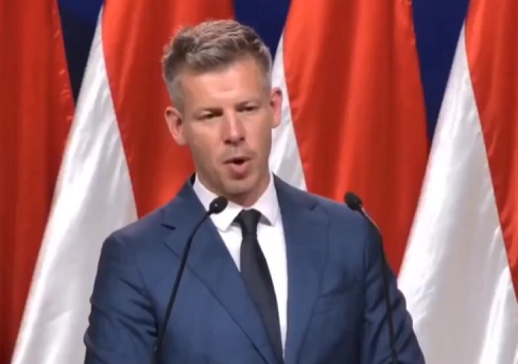 Mađar formirao vladu