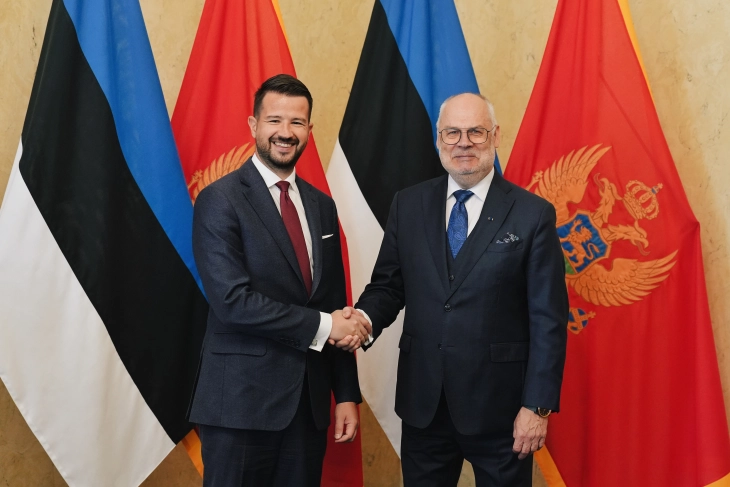 Milatović: Podrška svake članice EU ključna za Crnu Goru