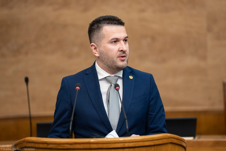 Pejović: Samit u Tivtu potvrdio da EU cijeni rezultate Crne Gore na evropskom putu