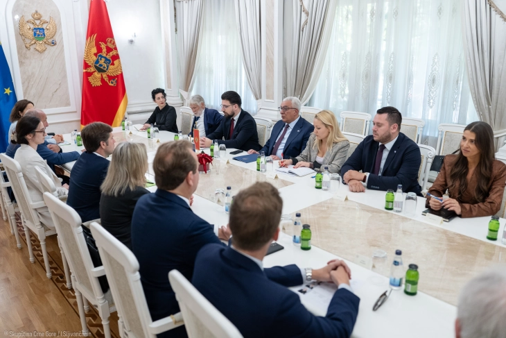 Mandić: Važna podrška francuskog parlamenta Crnoj Gori