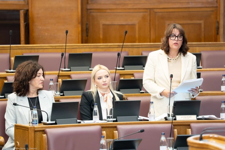 Vujović: Osuđujem medijske sadržaje koji diskriminišu crnogorski identitet, odgovor države daju institucije