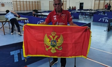 Paljušević bronzani u Strugi