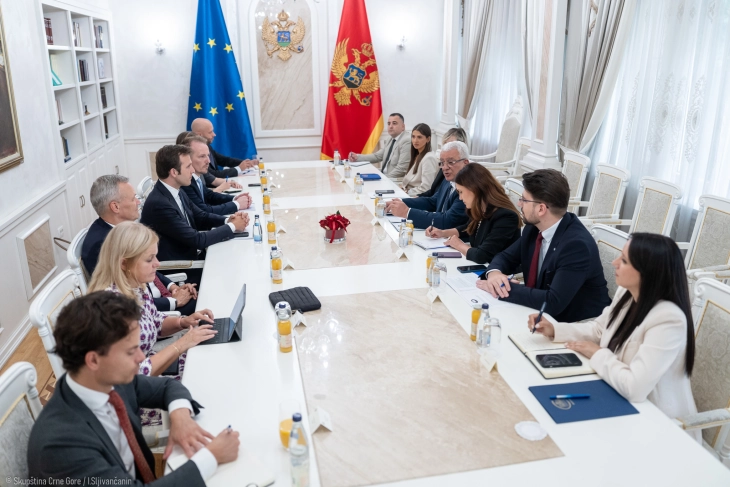 Mandić: Finansijski paket EK potvrda napretka Crne Gore 